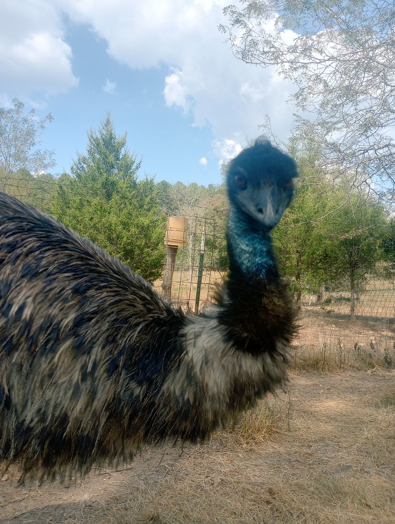 Farm Boy tweet media