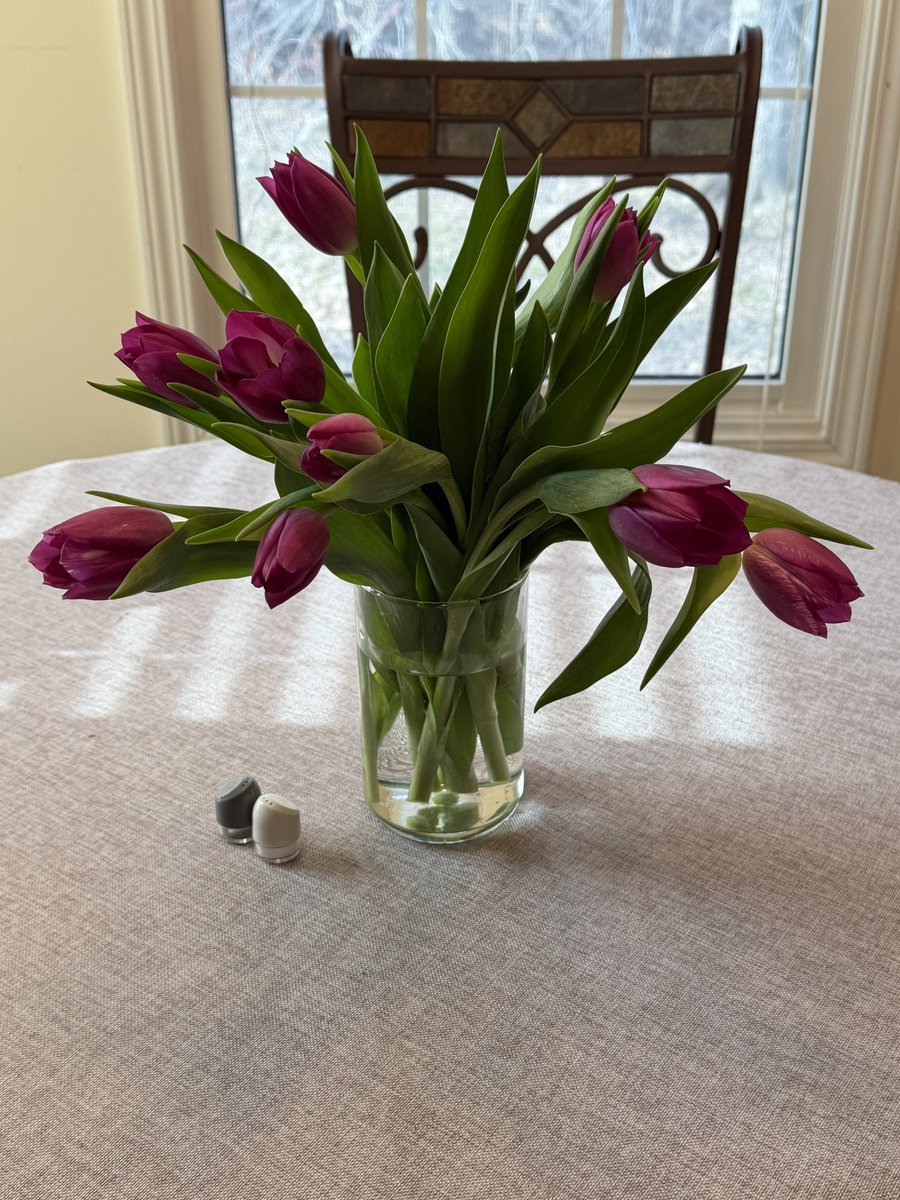 ❕(aka Wendycadobadger) 🥑😎 tweet media