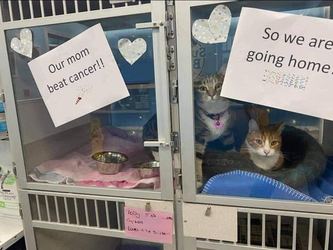 Eric Alper 🎧 tweet media