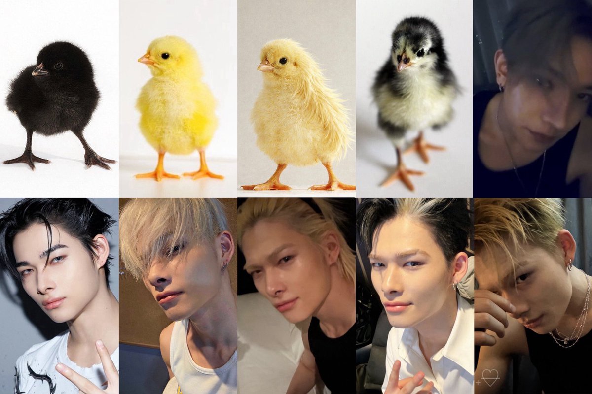 ✦ sammy • ENHYPEN IS 7 🤟🏻 tweet media