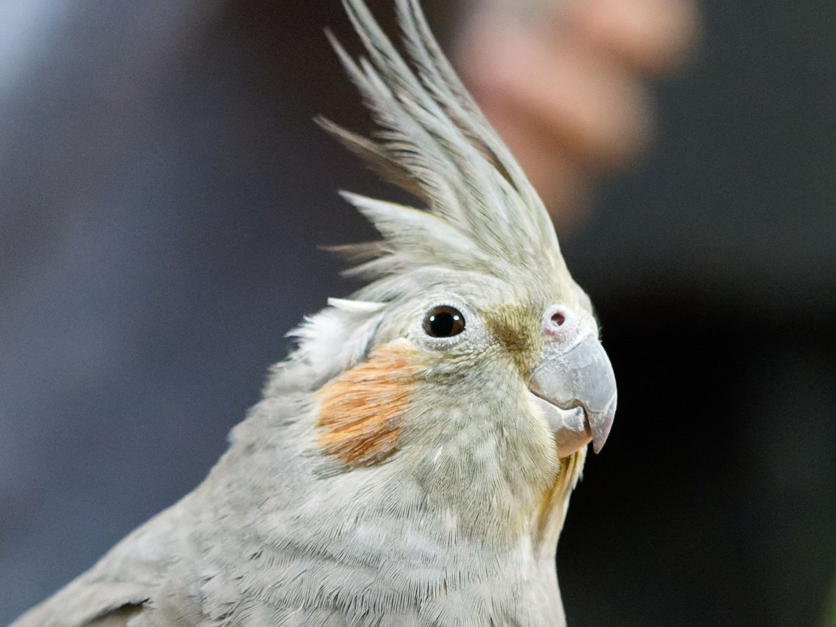 お目々キラキラのご機嫌さん