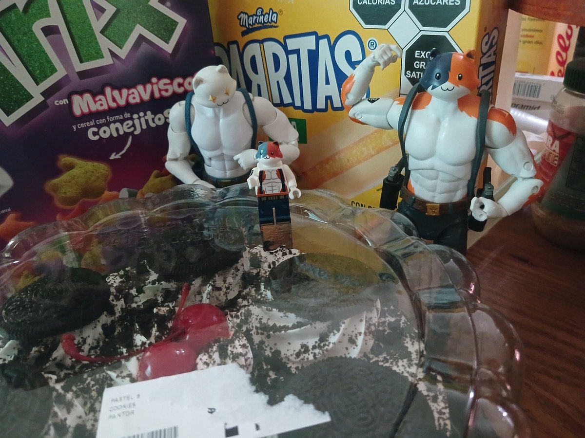 Raine ¡BOW! 🌈Commisions Closed🌈 tweet media