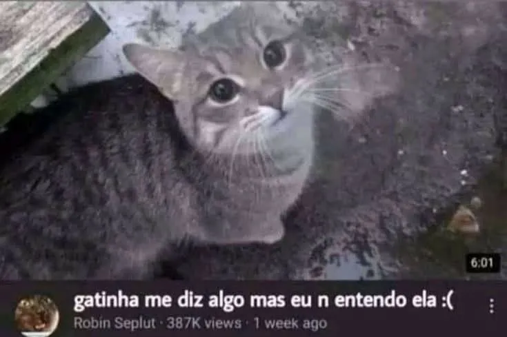 GeoMenes (@geo_menes) on Twitter photo 