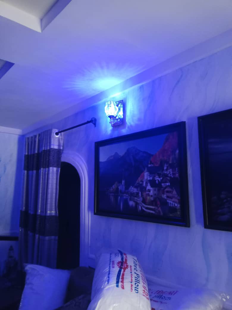 CATZ 🐈 tweet media