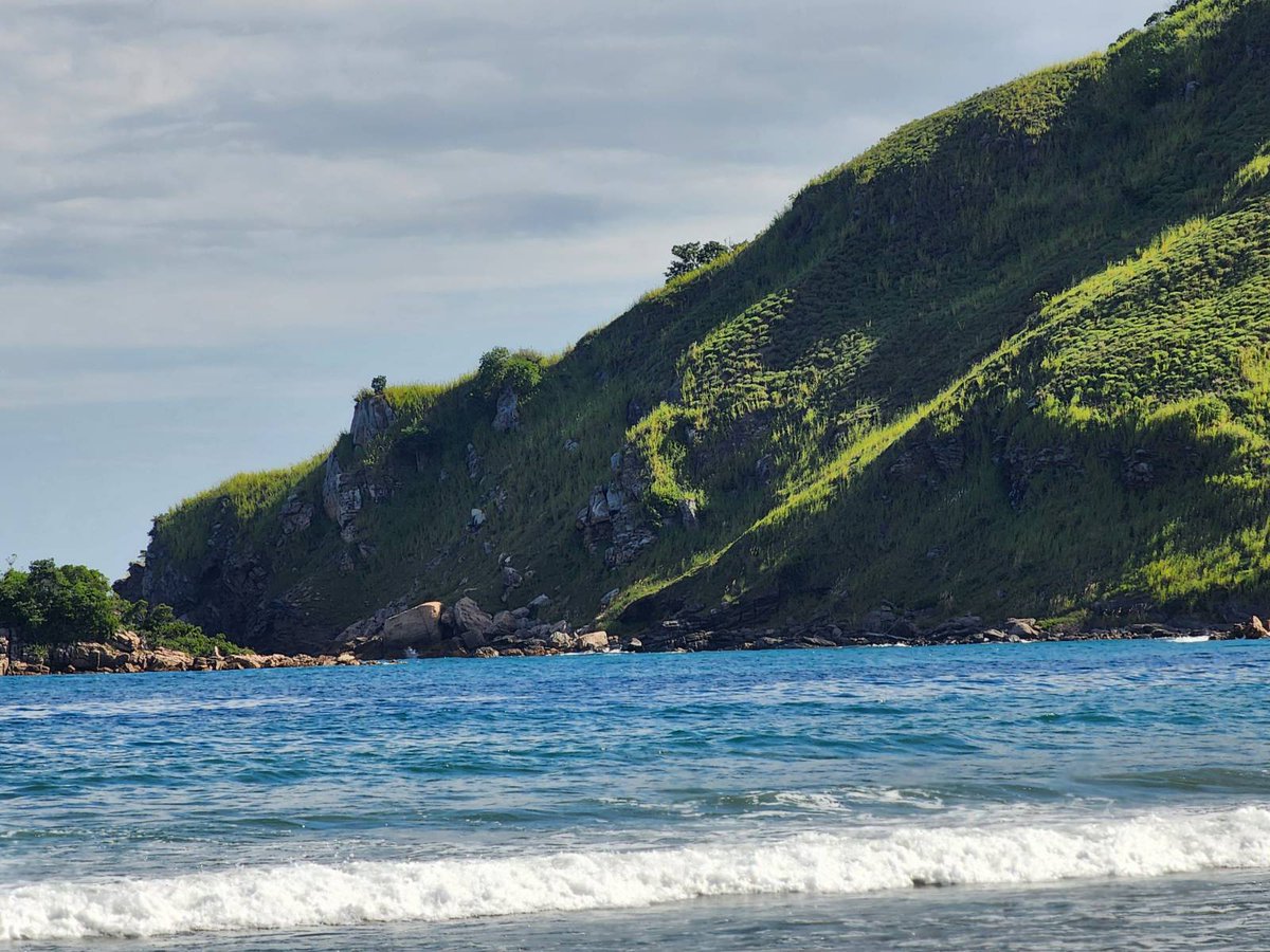 Rafaela Romano tweet media