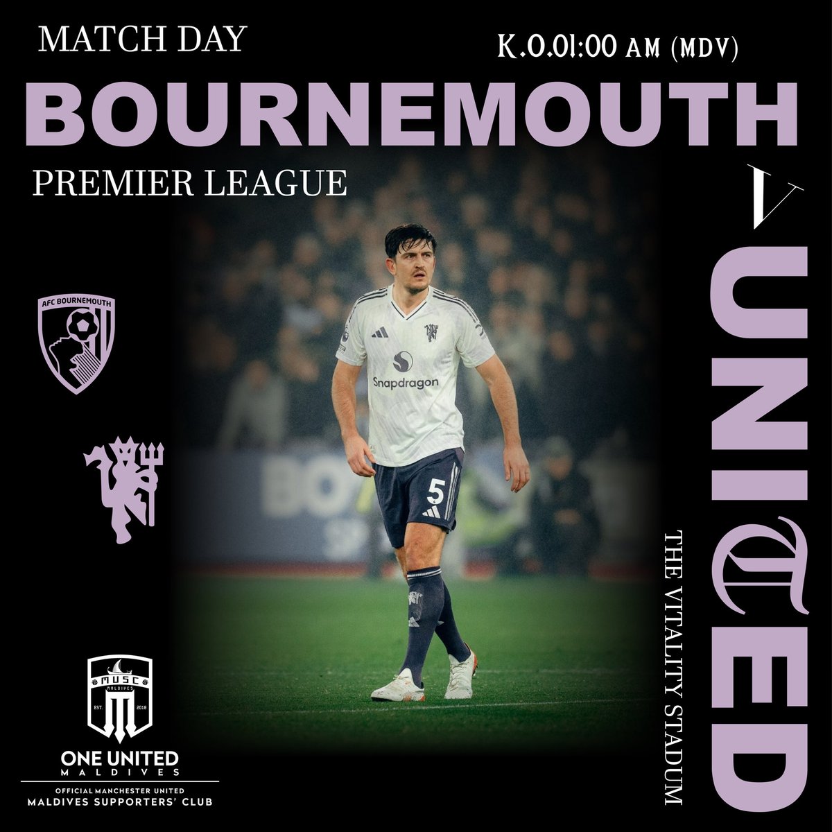 One United Maldives tweet media