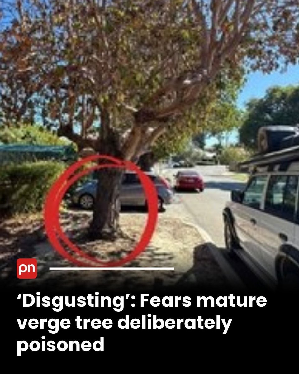 PerthNow tweet media