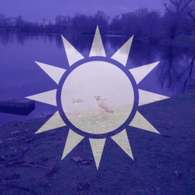 NGO Chad 🍵👁🦧🌐🏳️‍🌈🏳️‍⚧️ tweet media