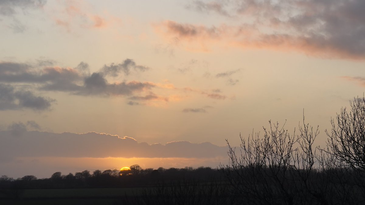 Milo 🐝🤍🏴󠁧󠁢󠁷󠁬󠁳󠁿 tweet media