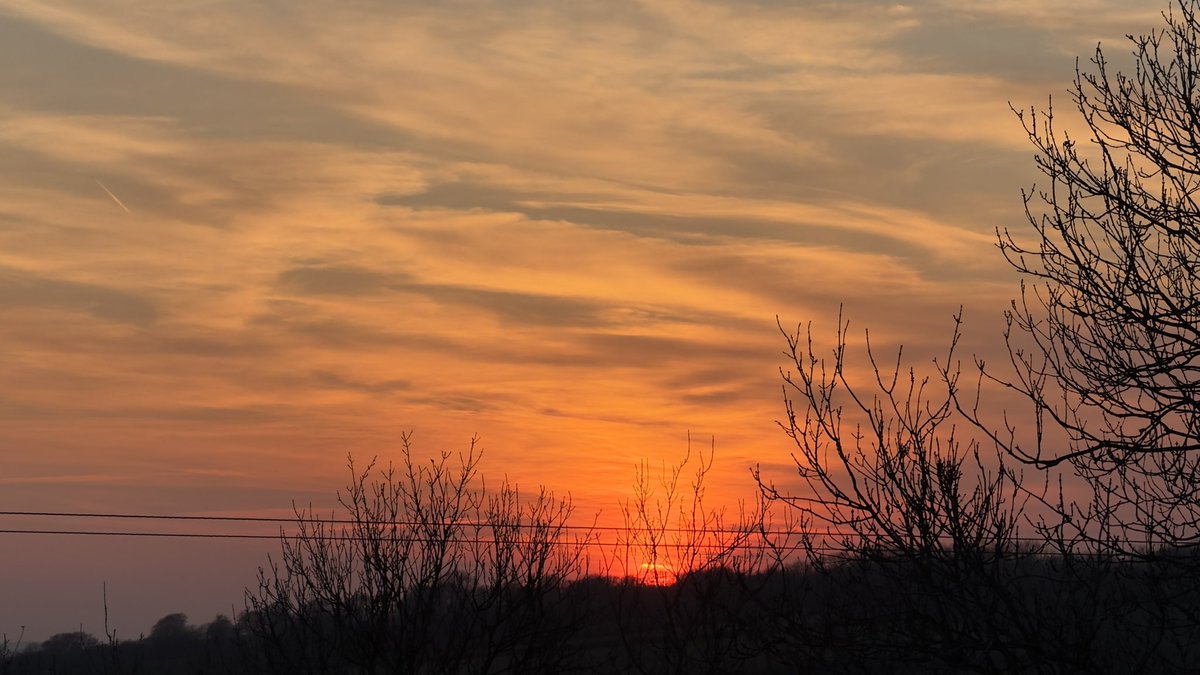 Milo 🐝🤍🏴󠁧󠁢󠁷󠁬󠁳󠁿 tweet media