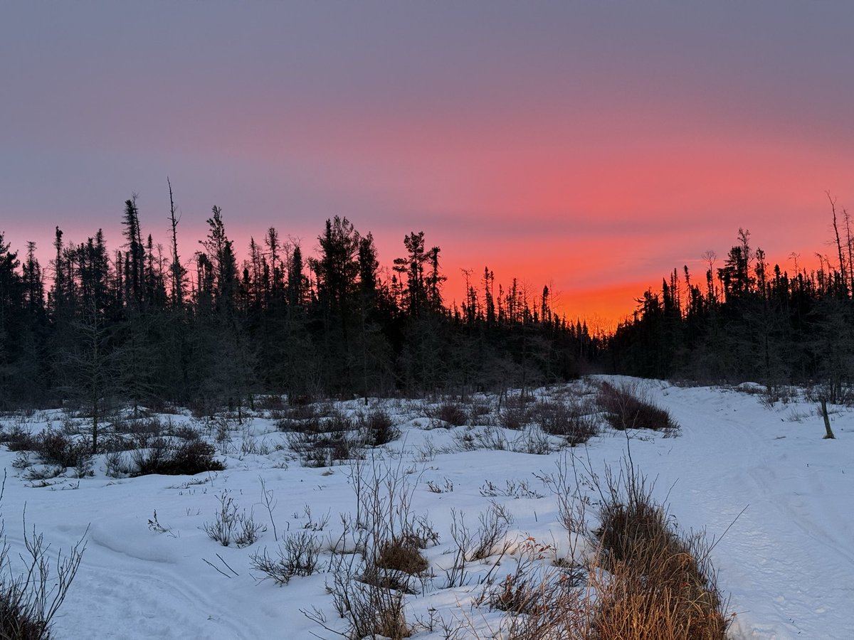 FergDevins tweet media