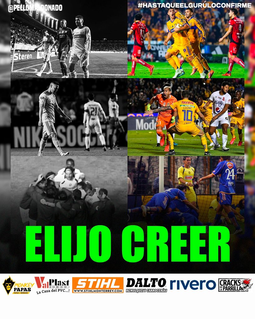 Pello Maldonado tweet media