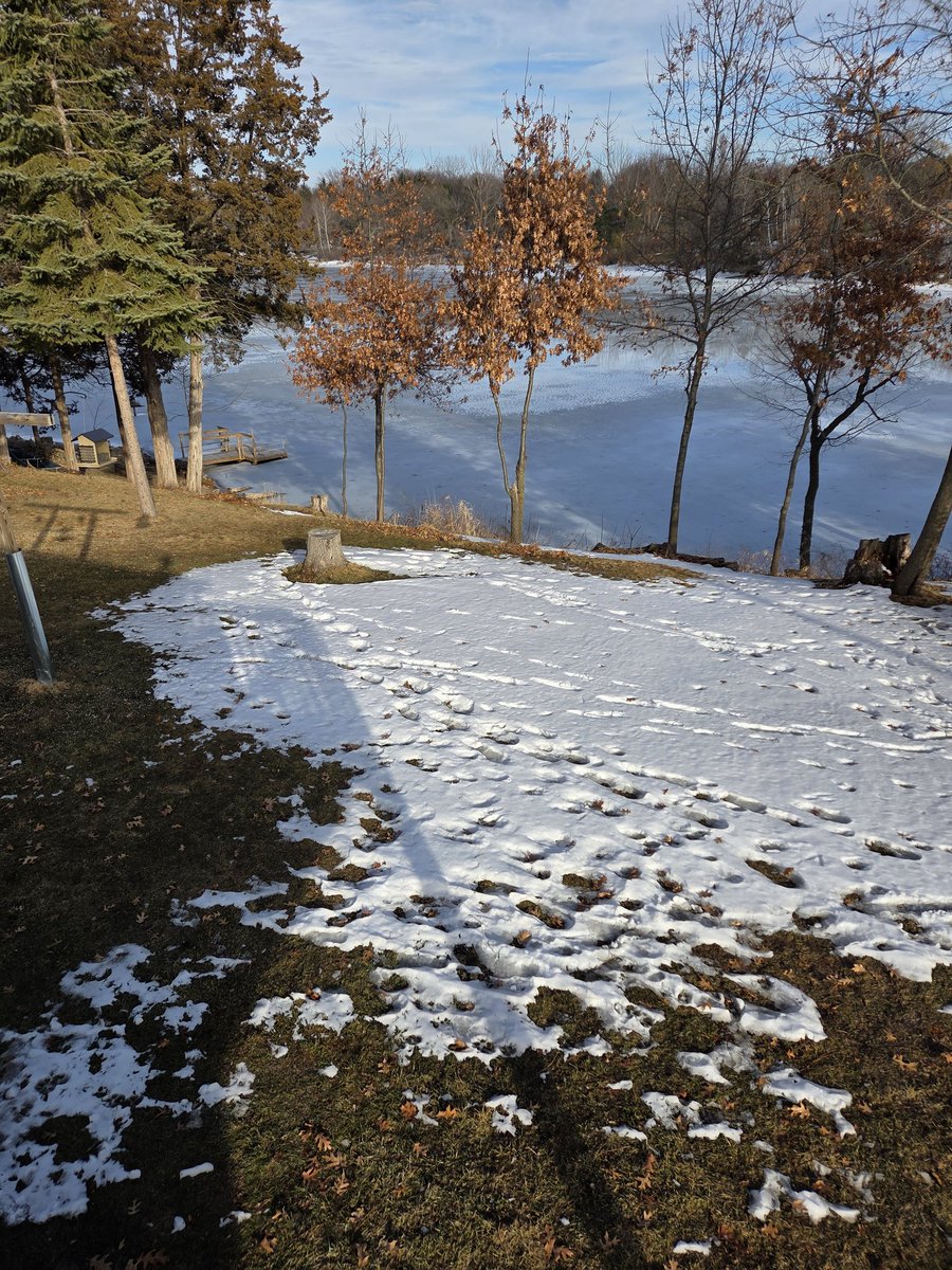 The Only James Magelk tweet media