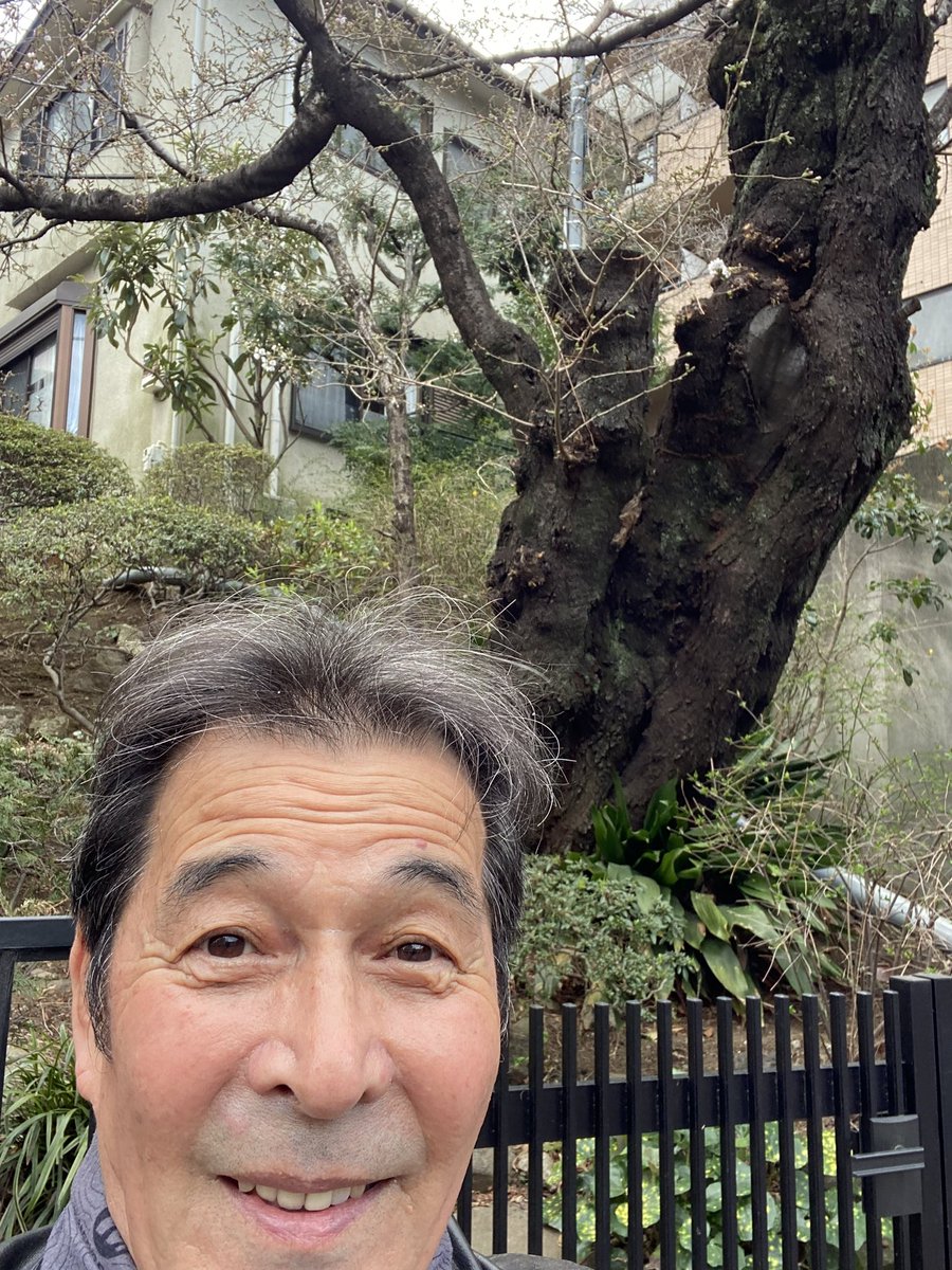 井上順 tweet media