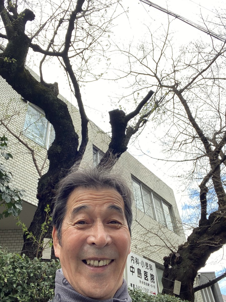 井上順 tweet media