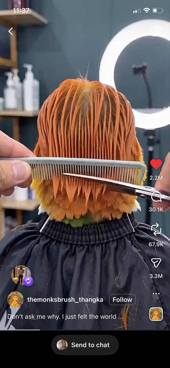 Angelic.Pomegranate tweet media