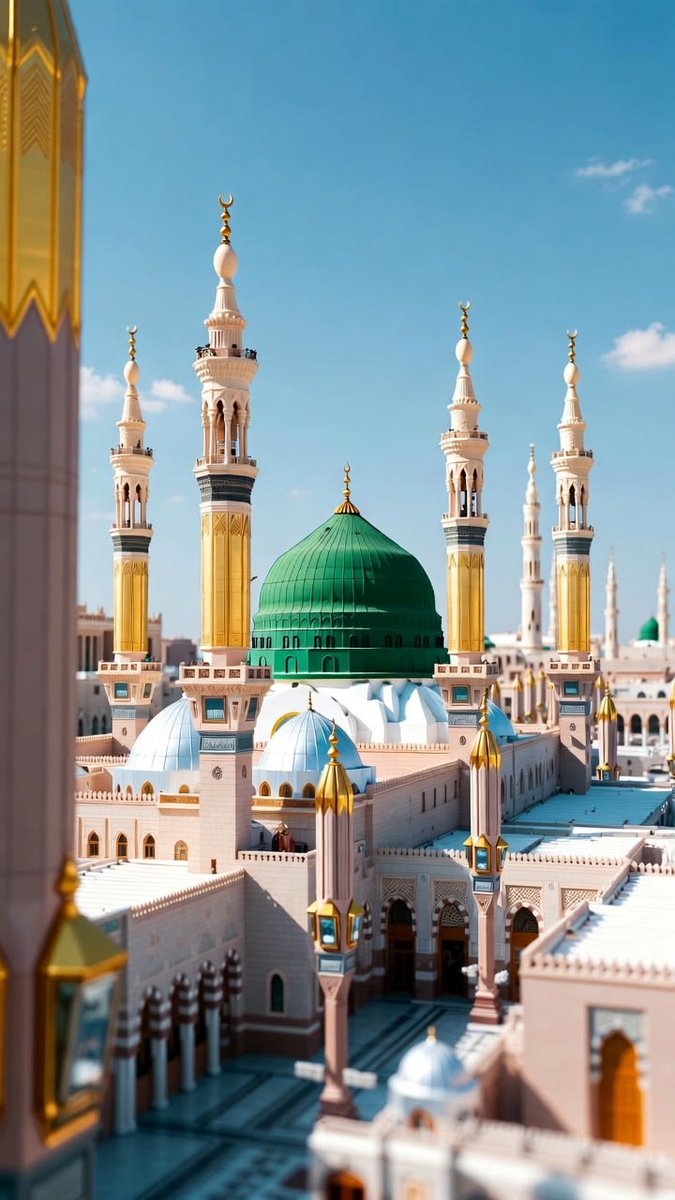 Amina Nur tweet media