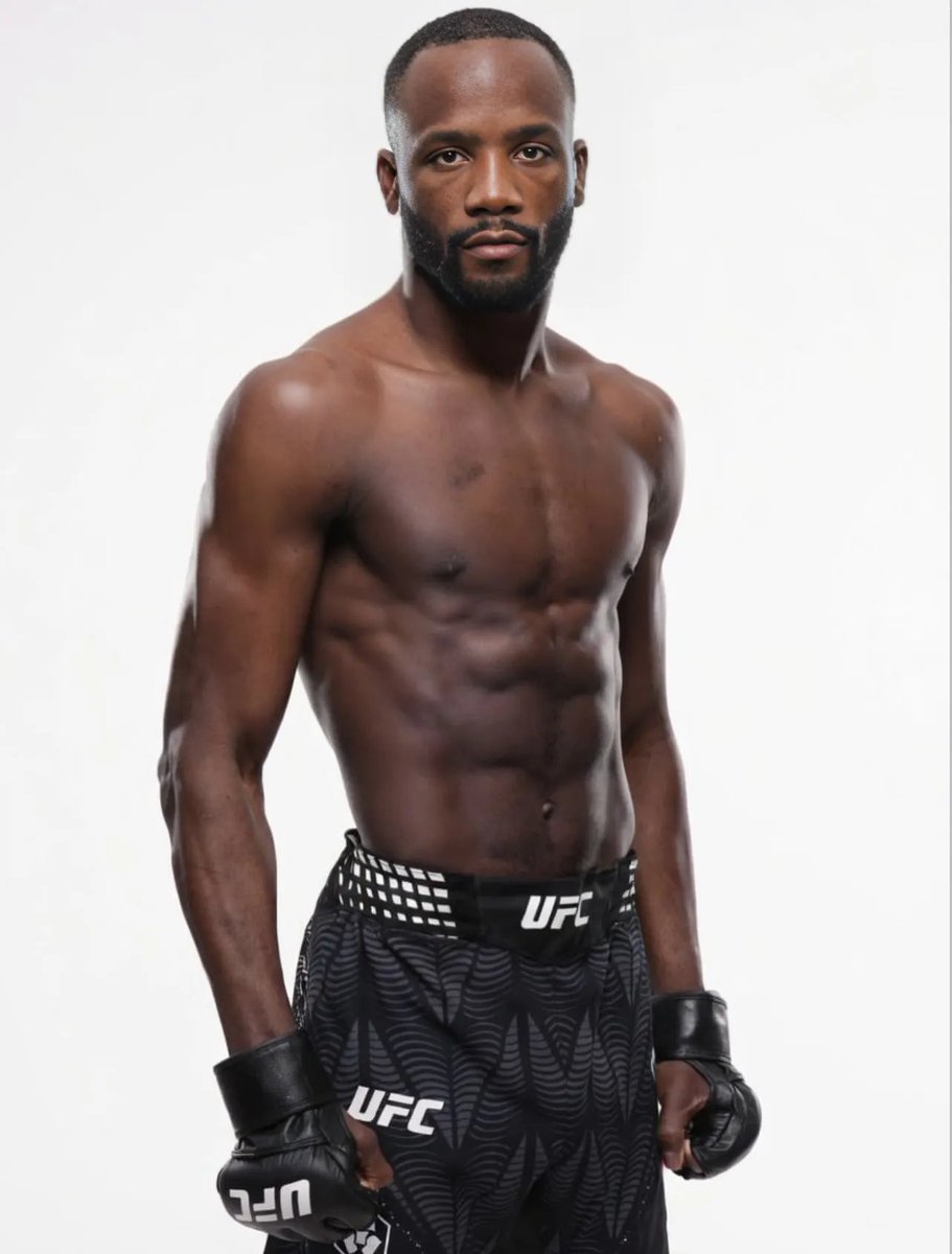 dame margera tweet media