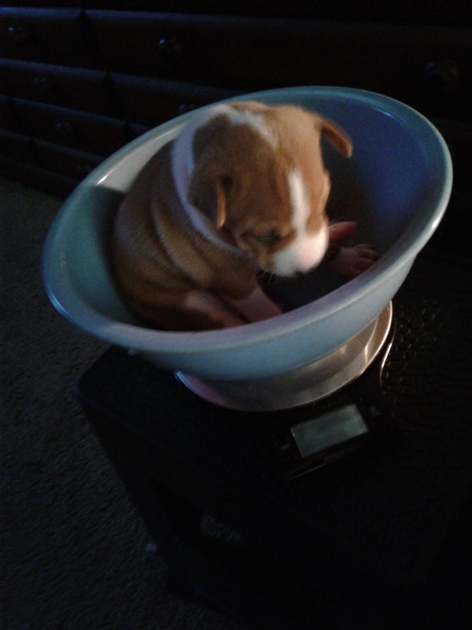 mechtild jd tweet media