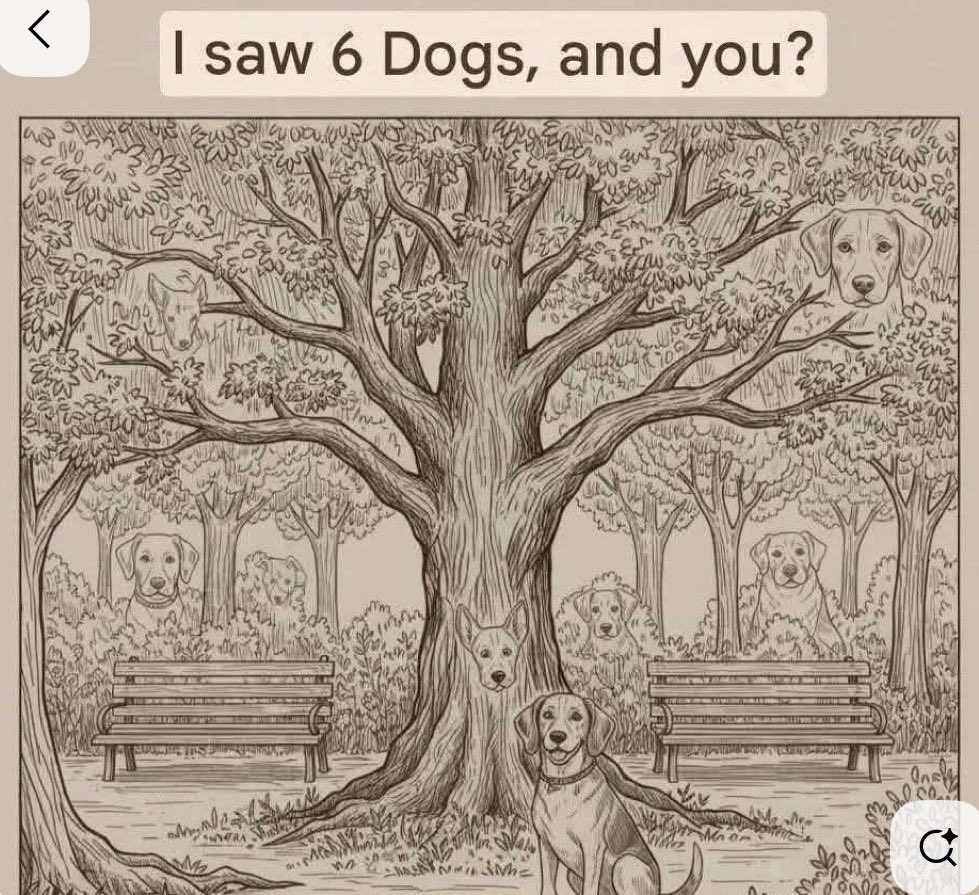 GENERAL BAZZ - GENERAL,LORD BIDDY(ANGEL) tweet media