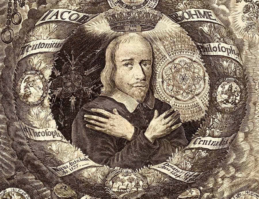 Albion Rose tweet media