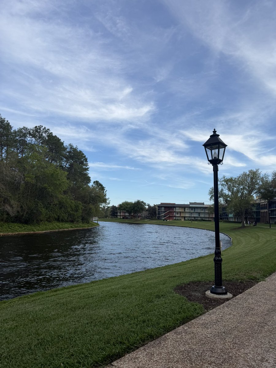 BYU Florida 🐆⚔️ tweet media