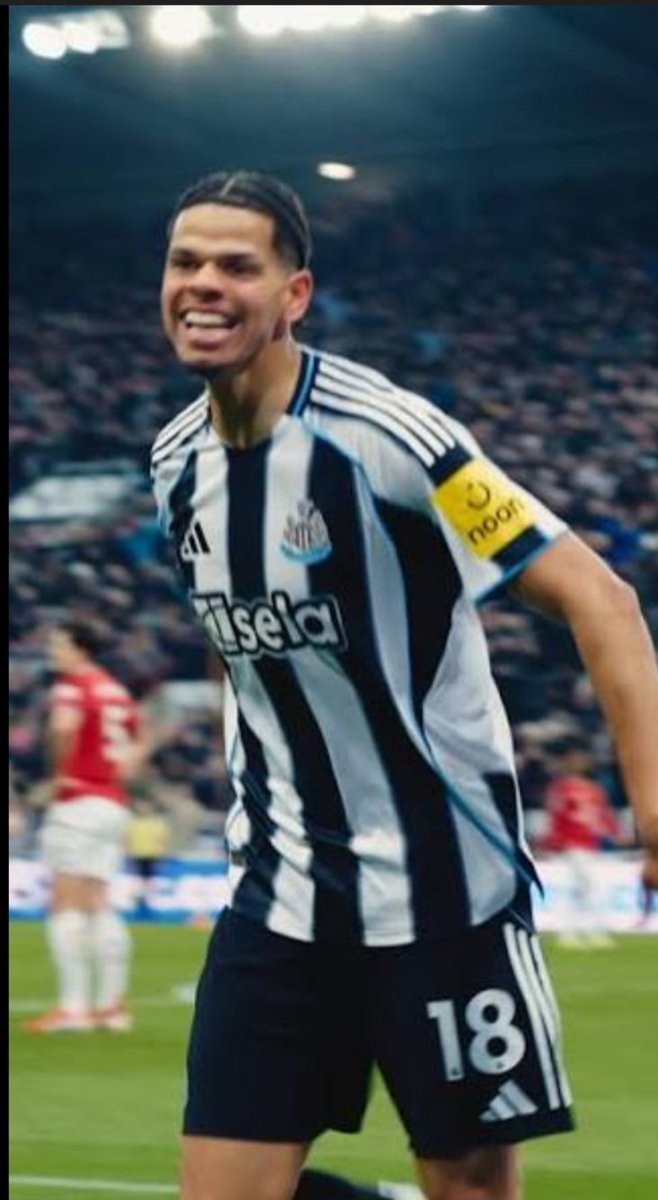 NUFCTOON tweet media