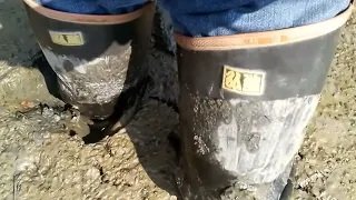 ほﾟん＠香川うどん県🍜引っ越しました🙇‍♂️６４天安門🔥台湾独立🇹🇼 tweet media