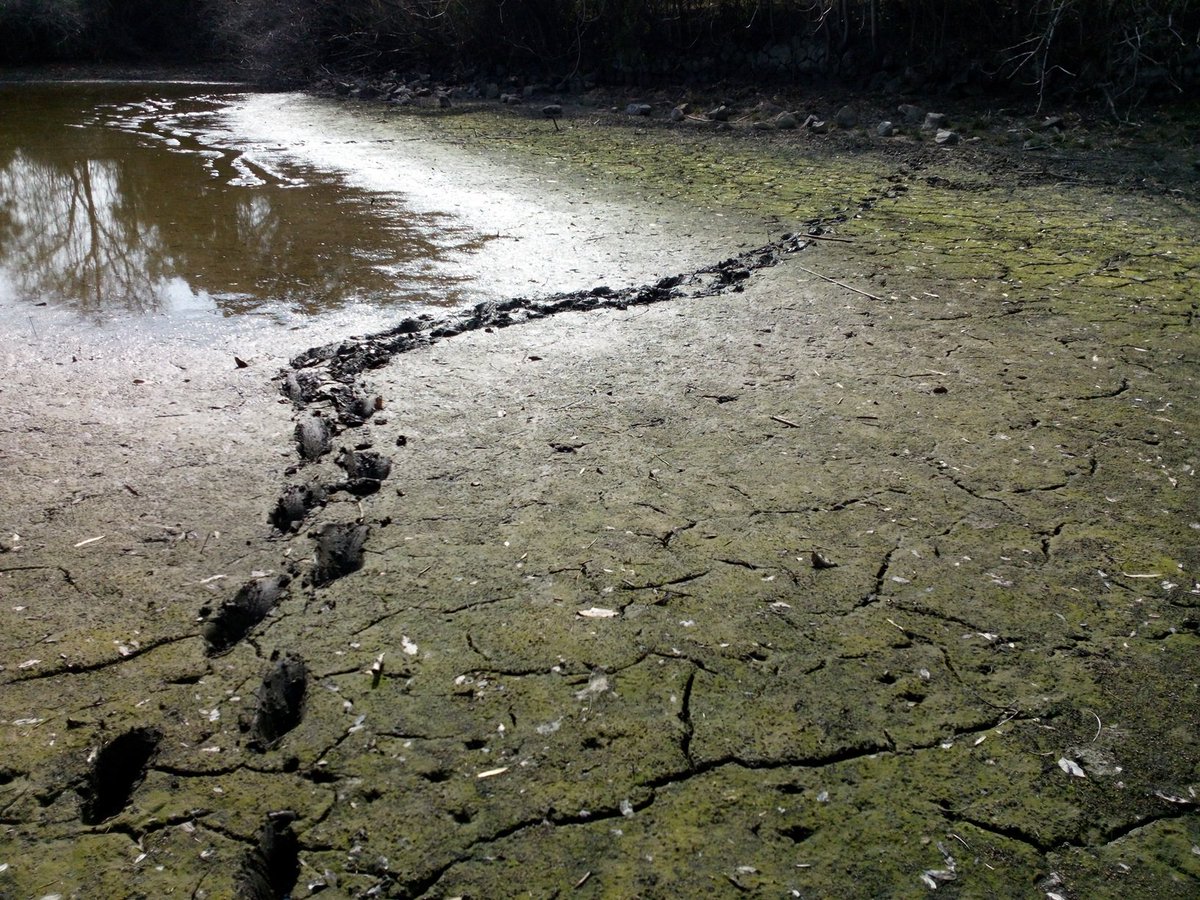 ほﾟん＠香川うどん県🍜引っ越しました🙇‍♂️６４天安門🔥台湾独立🇹🇼 tweet media
