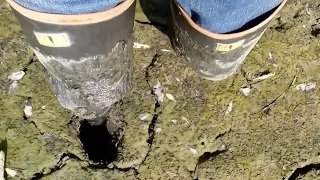 ほﾟん＠香川うどん県🍜引っ越しました🙇‍♂️６４天安門🔥台湾独立🇹🇼 tweet media