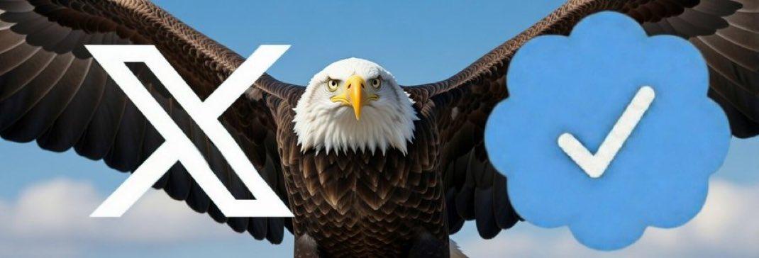 🕊️ ৎ୭ ⋆｡°✩ ألاميرة_ليلى tweet media