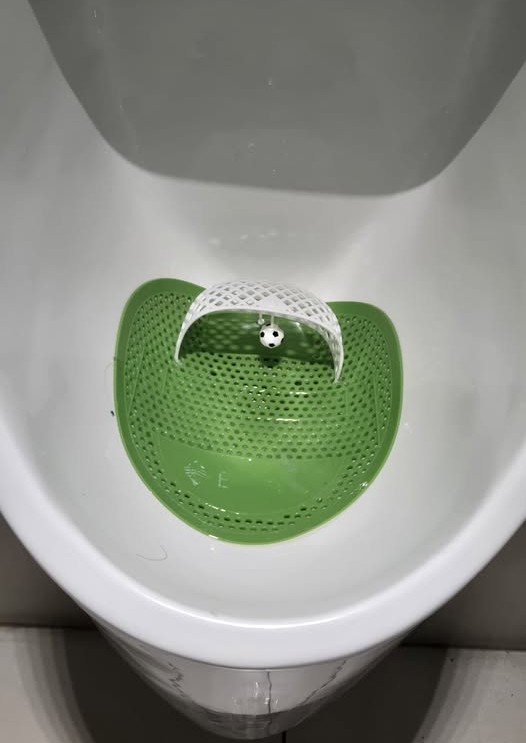 Magic Beans 🐿️ tweet media