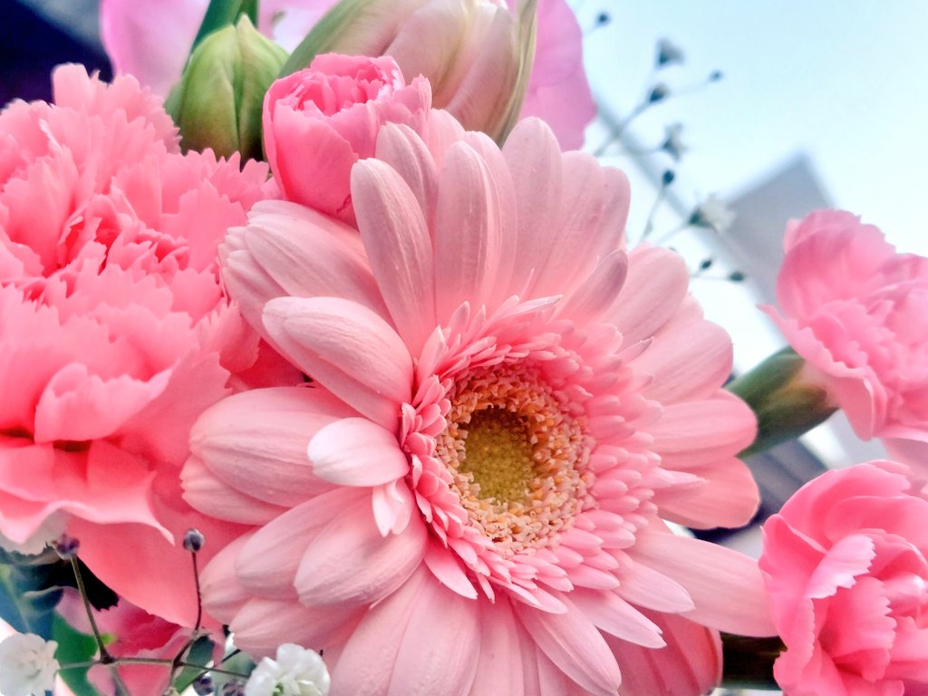 おはなのみせ 花空(はなそら) tweet media