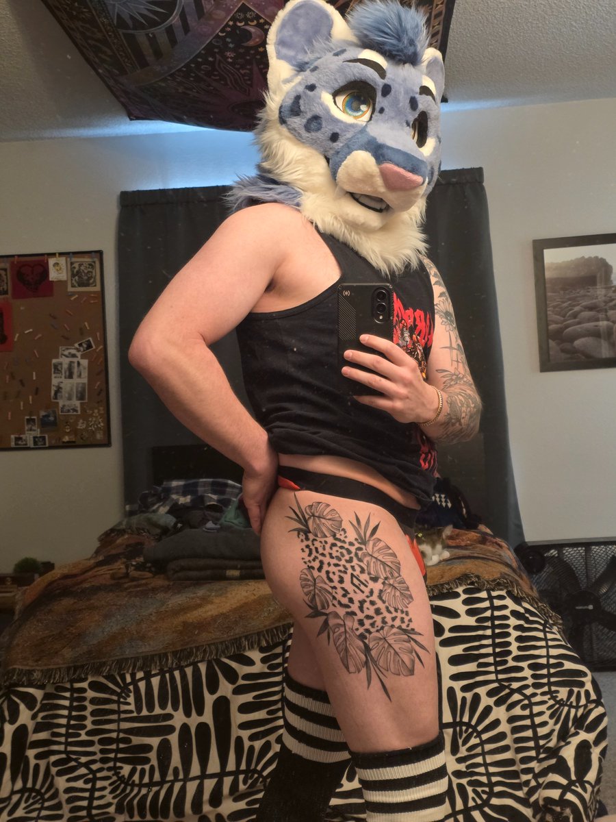 Dusky Snep tweet media