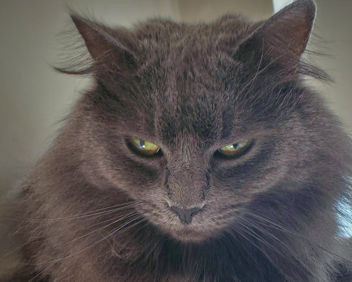 dave wagner tweet media