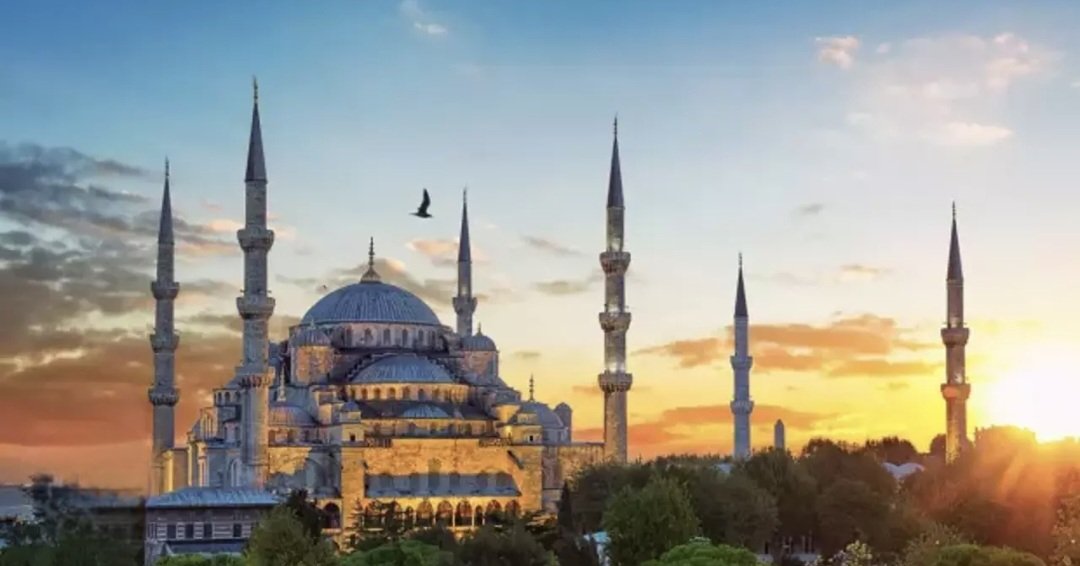 Derin🇹🇷🇵🇸 tweet media