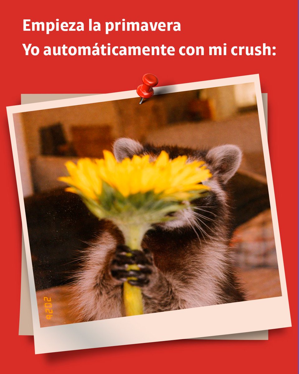 Claro Pay México tweet media