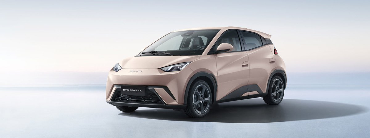 قتيبة العبيدي tweet media