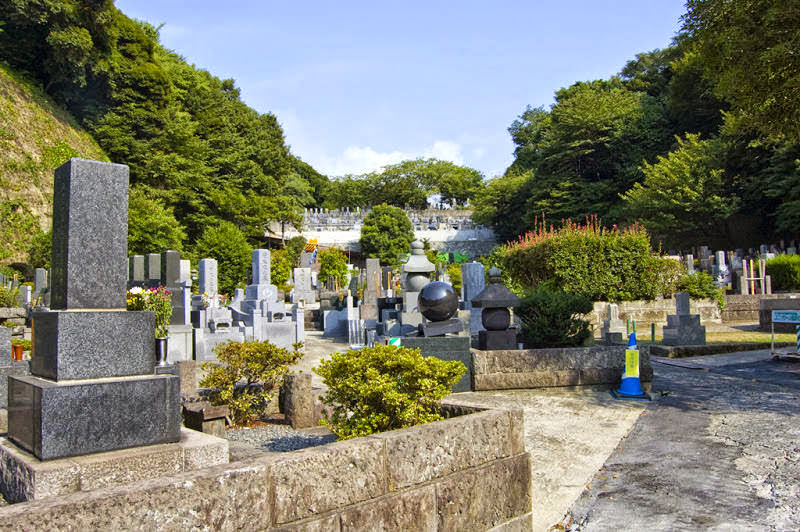 amiens international tweet media