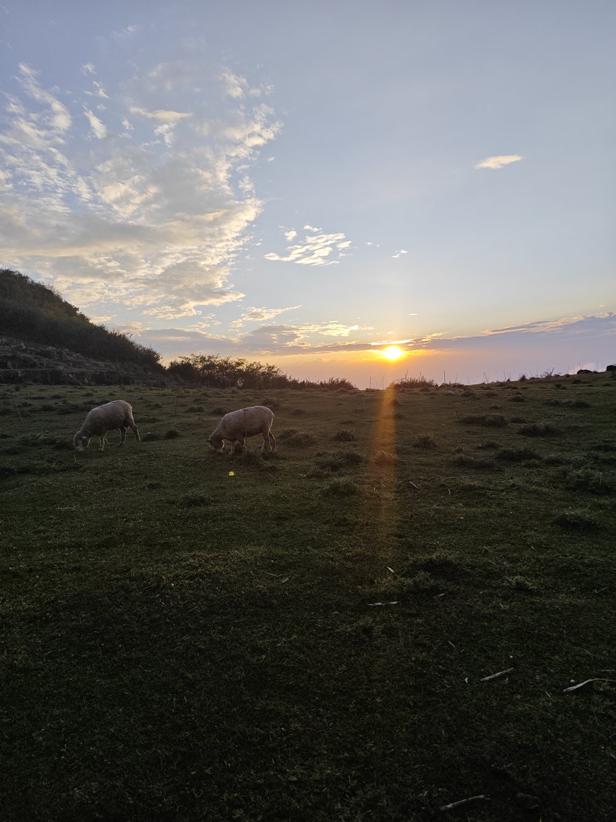 im_rivera's tweet photo. Woke up to birds, brewed coffee over fire, and hiked to a view that stole my breath. Camping u003e everything. https://t.co/cQMb20Chxa