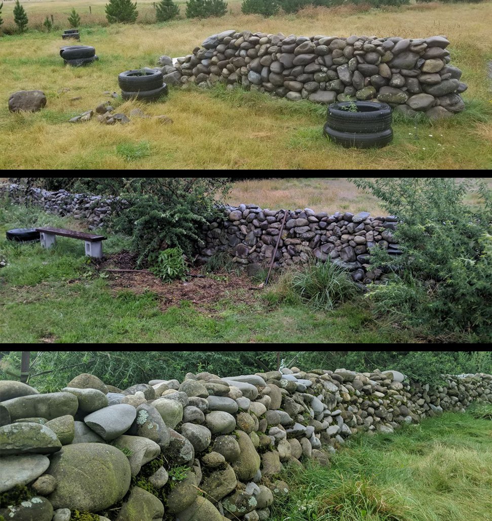 Ben Black | Dynasty Foundry tweet media