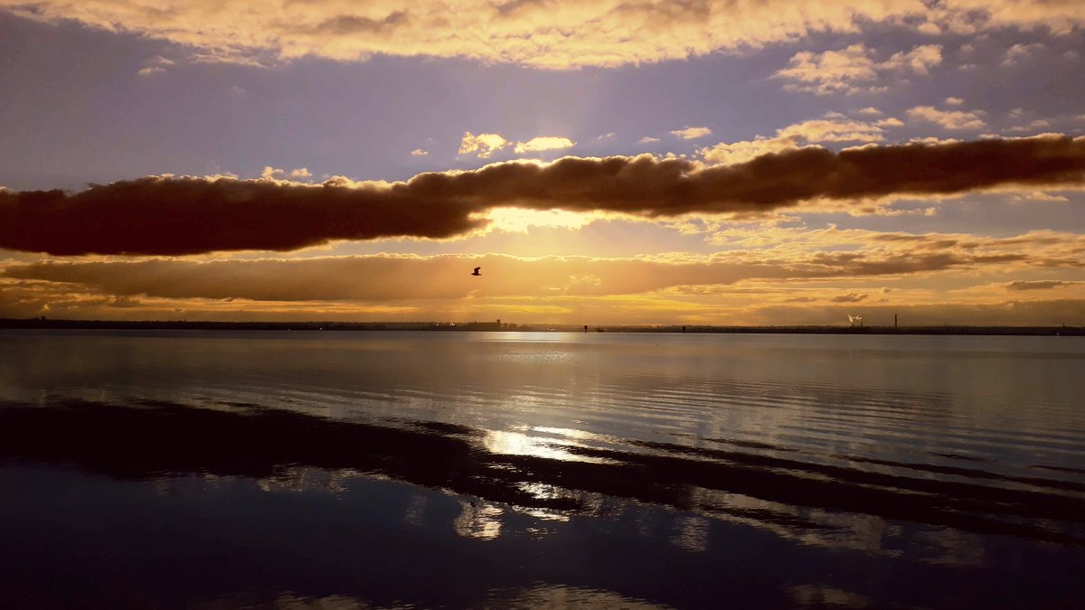 James Hawke tweet media