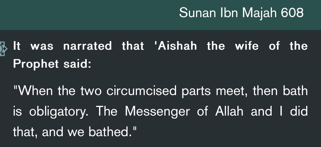 Eli II 🏴☠️ tweet media