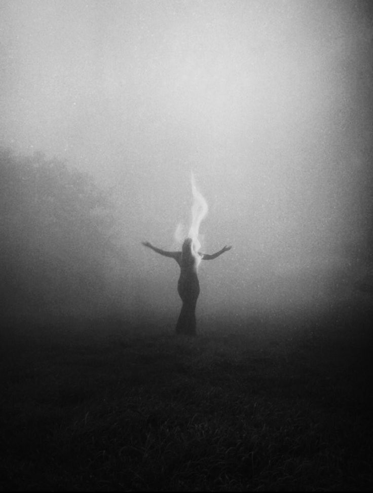 Neutralious tweet media