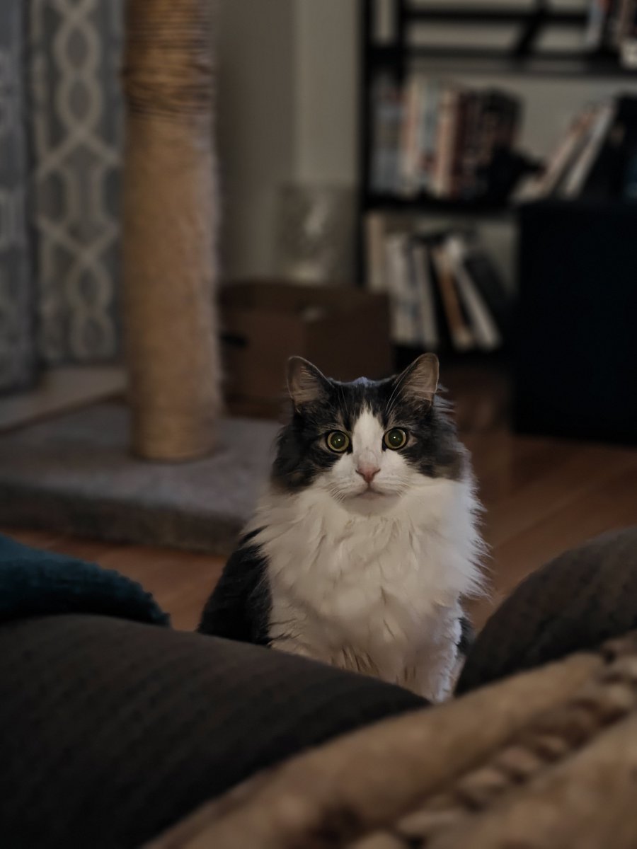 MSexton Photography tweet media