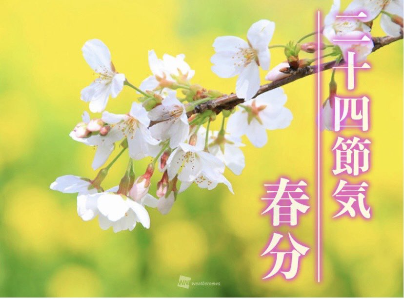 ルドルフ8008 tweet media