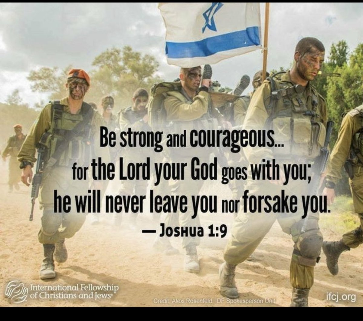 Suzi Kota tweet media