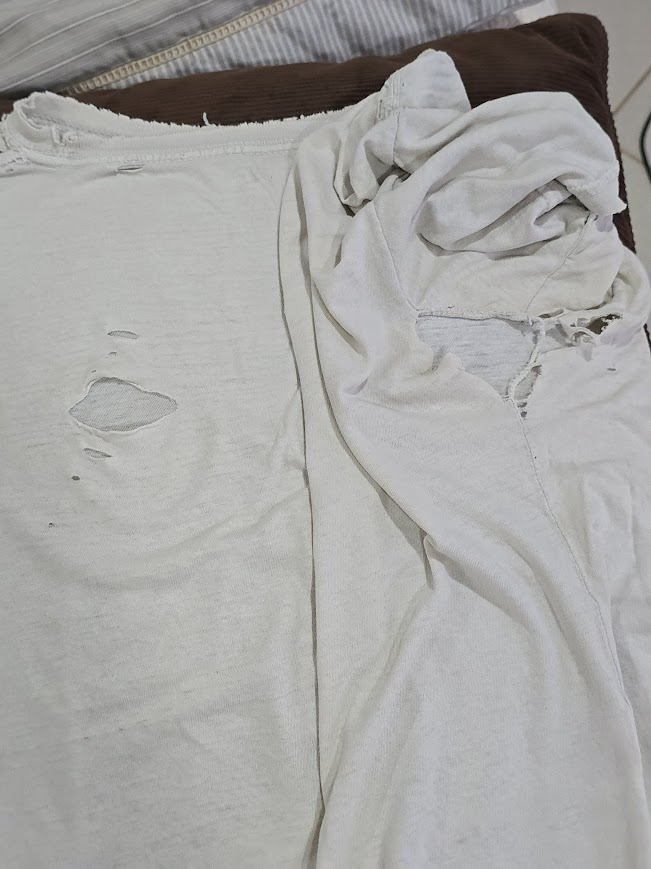 Dr. Clown, PhD tweet media