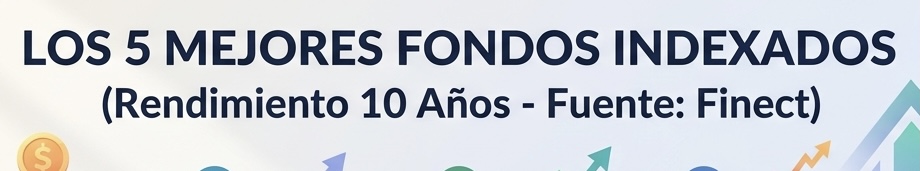 Noob Investor tweet media