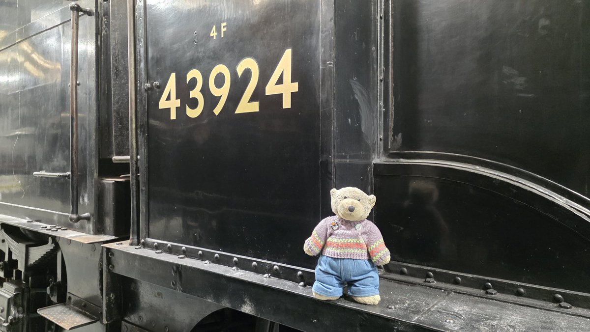 Bear 🚂🐻 tweet media